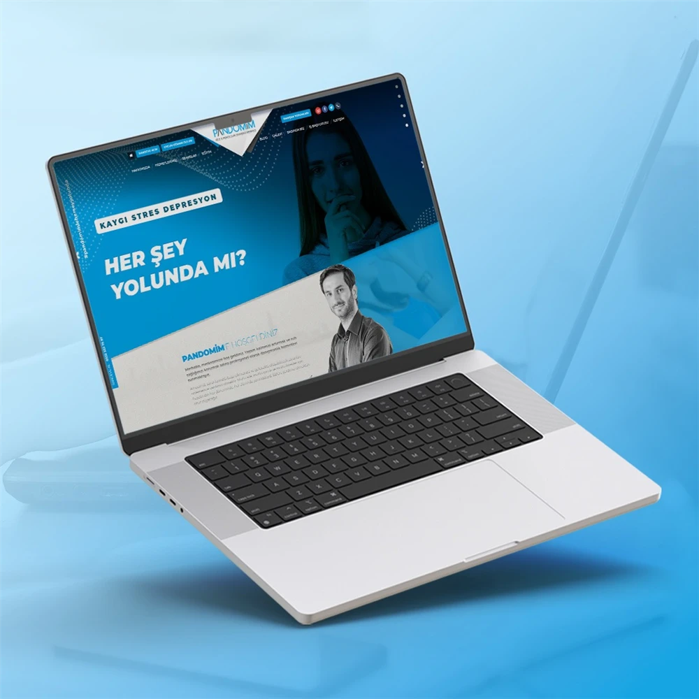 Pandomim Danışmanlık Web Design e Software